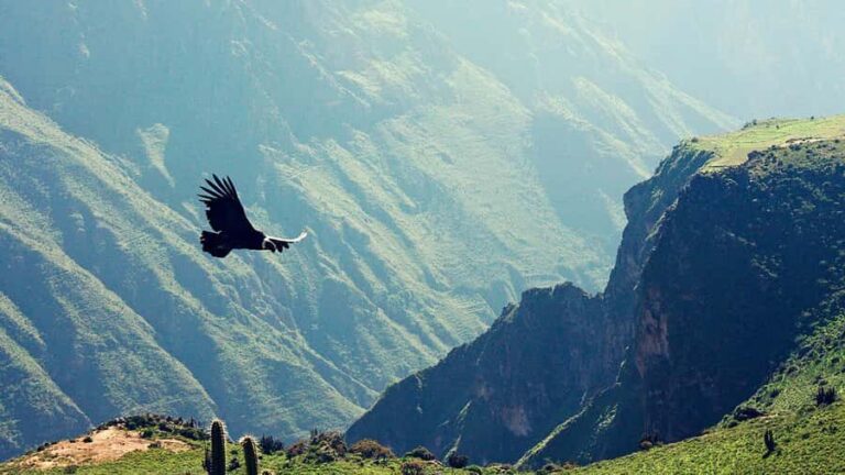 2 day 1 night trek / Colca Canyon - Key Highlights You’ll Actually Remember