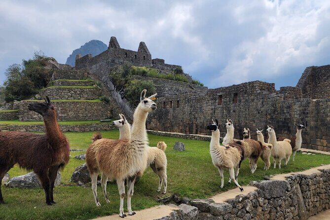 2-Day Inca Trail To Machu Picchu - Day 1: From Ollantaytambo to Km-104, Then Up to Wiñay Wayna