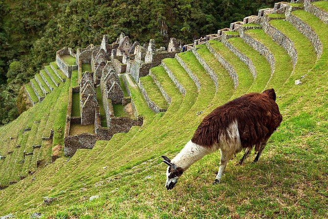 2 Day - Short Inca trail to Machu Picchu - Private Services - Day 2 sunrise at Machu Picchu: early gates, guided walk, then room to breathe