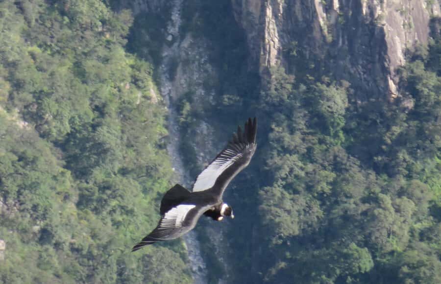 2-Day Tour Colca Canyon in Arequipa with end in Puno - From Arequipa to the Colca, with stops that make sense