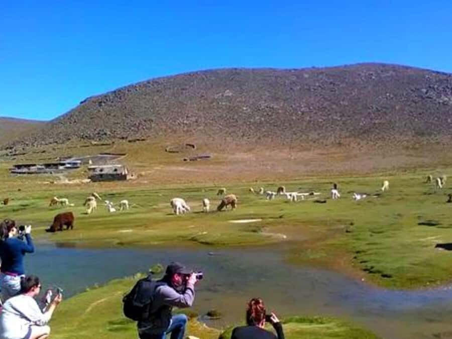 2-Day Tour Colca Canyon in Arequipa with end in Puno - Price and value: is $78 a smart deal?