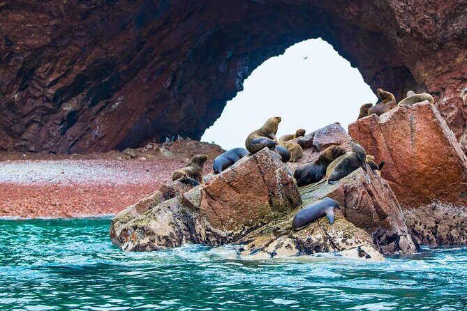 2-Hour Tour to the Ballestas Islands from Puerto San Martín - Key Highlights You’ll Care About