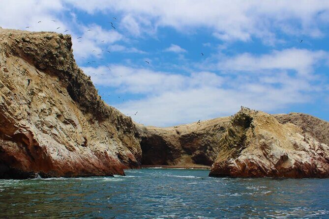 2-Hour Tour to the Ballestas Islands from Puerto San Martín - The Main Event: Wildlife Sanctuary Views From the Water