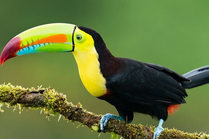 3-Day All Inclusive Guided Jungle Tour from Iquitos at Maniti Eco-Lodge - From Iquitos to Nanay: the river ride is part of the show