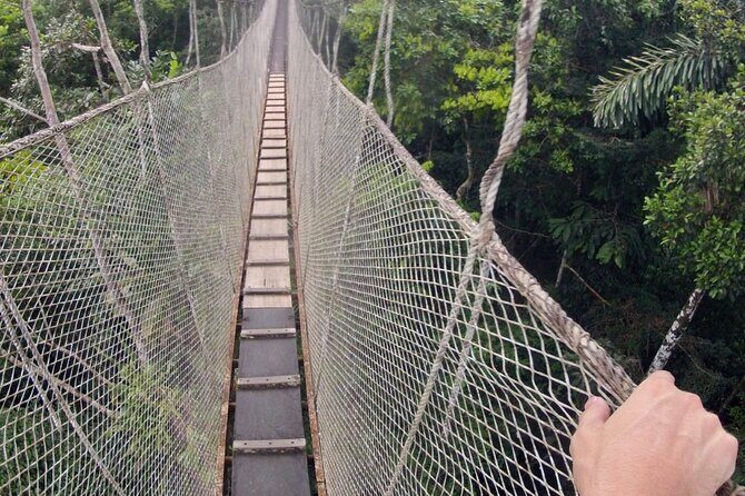 3-Day All Inclusive Guided Jungle Tour from Iquitos at Maniti Eco-Lodge - Pink river dolphins and the camp rhythm on day 1