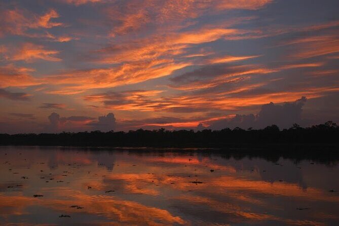 3-Day All Inclusive Guided Jungle Tour from Iquitos at Maniti Eco-Lodge - Day 3: early jungle hike, plants and monkeys, then a local tribe visit