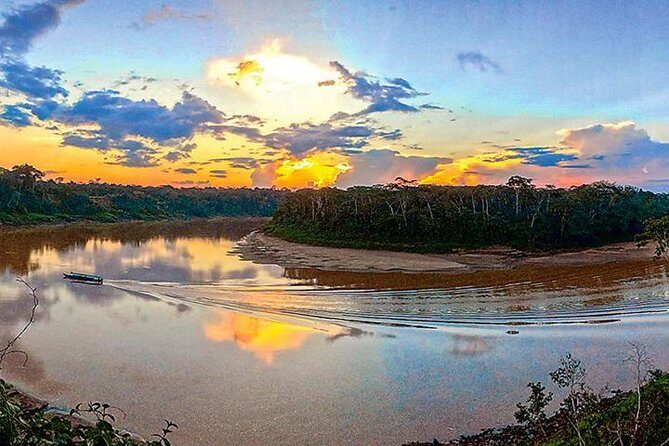 4 Day Tambopata Amazon Wildlife & Canopy Experience - Key Things I’d Use to Decide