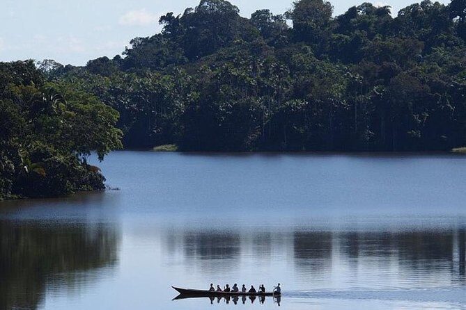 4 Day Tambopata Amazon Wildlife & Canopy Experience - Day 4: parrot clay lick, a native family visit, and the way back to Puerto Maldonado