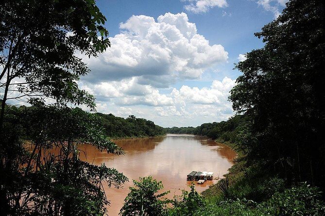 4 Day Tambopata Amazon Wildlife & Canopy Experience - The lodge reality: what comfort means in the Tambopata jungle