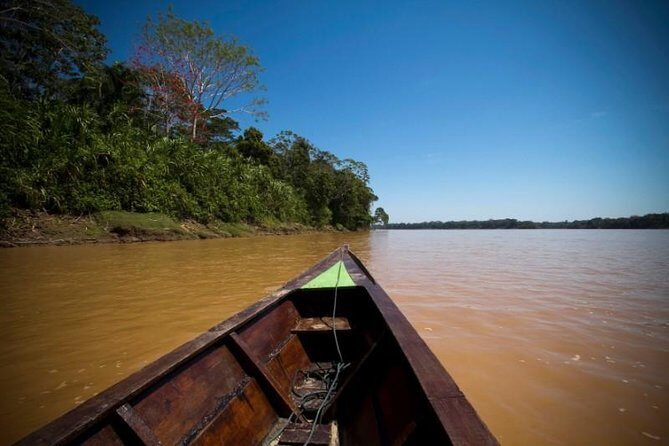 4 Day Tambopata Amazon Wildlife & Canopy Experience - Wildlife expectations: you’ll see plenty, but nothing is guaranteed