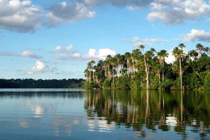 4 Day Tambopata Amazon Wildlife & Canopy Experience - Day 2: 5:30am canopy at 40 meters and Sandoval Lake wildlife