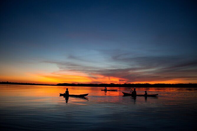 4 Day Tambopata Jungle Tour with Local Guide - The guide quality you should look for (and the one thing to ask)