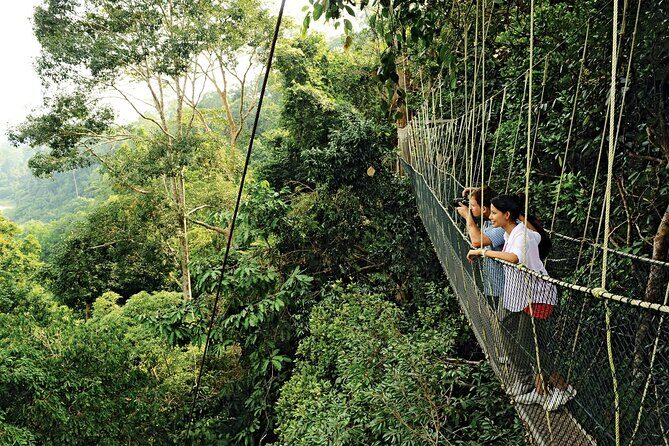 4 Day Tambopata Jungle Tour with Local Guide - Day 1 in Tambopata: canopy views, zip line, kayak, monkeys, and caimans after dark