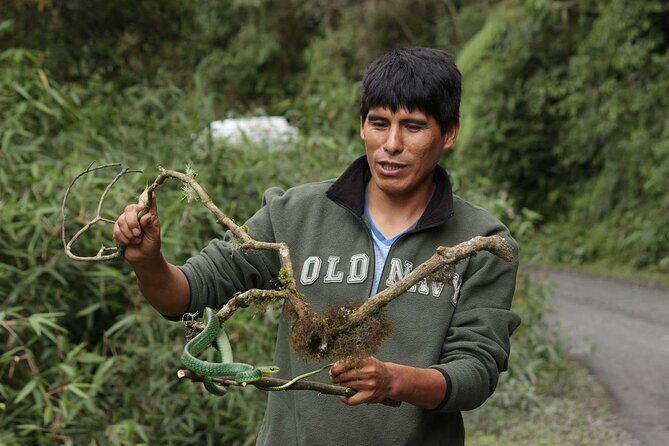 4 Day Tour to the Manu National Park - Lake Machuwasi to Machuhuassy Lagoon: clay-lick parrots and a guide who finds movement