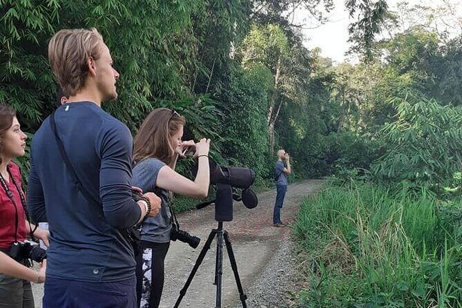 4 Day Tour to the Manu National Park - Who should book this Manu National Park tour—and who might not