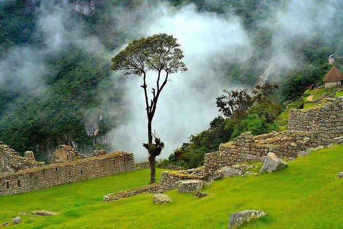 6-Day Cultural Tour to Machu Picchu - Final Morning in Cusco: San Blas, San Pedro Market, and Easy Airport Timing