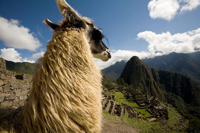 7 Day Peru Private Journey - Day 5: Moray terraces, Maras salt mines, and the train connection to Machu Picchu