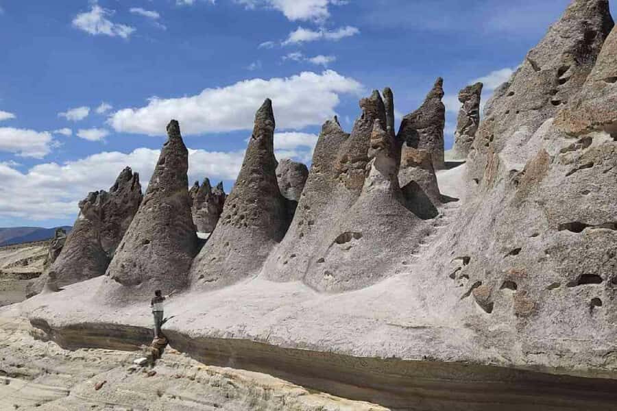 Adventure Day in Arequipa: Pillones Waterfall + Rock Forest - Inside Salinas and Aguada Blanca: Vicuñas, Llamas, and Guanacos at High Altitude