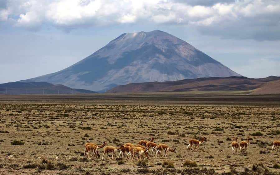 Adventure Day in Arequipa: Pillones Waterfall + Rock Forest - Pillones Waterfall: When the Rock Turns Into Art