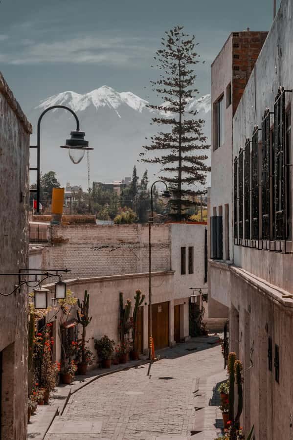 Arequipa: Walk through the Historic Center of the City - Setting Off from Campo Redondo San Lázaro