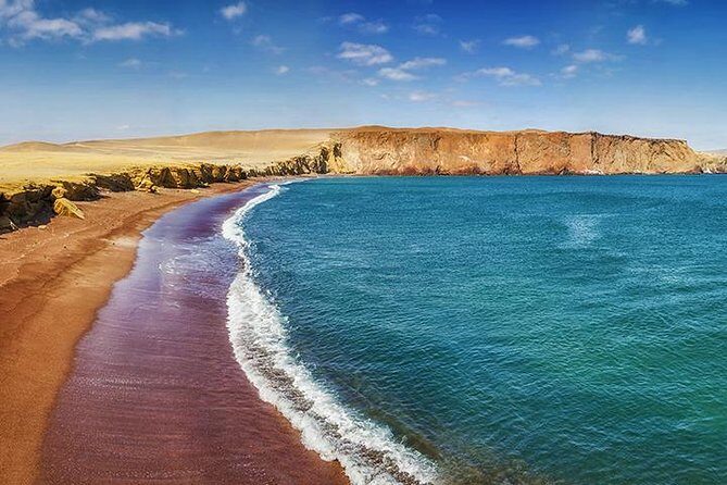 Ballestas island & Paracas reserve from PISCO CRUISESHIP TERMINAL - Speedboat to Ballestas Islands and the Candelabro view