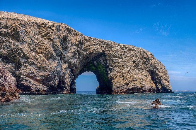 Ballestas island & Paracas reserve from PISCO CRUISESHIP TERMINAL - Wildlife on Ballestas: sea lions, Humboldt penguins, and seabirds