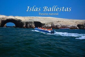 Ballestas Islands & National Reserve of Paracas from Ica - The 6:30 am pickup rhythm (and how to handle it)