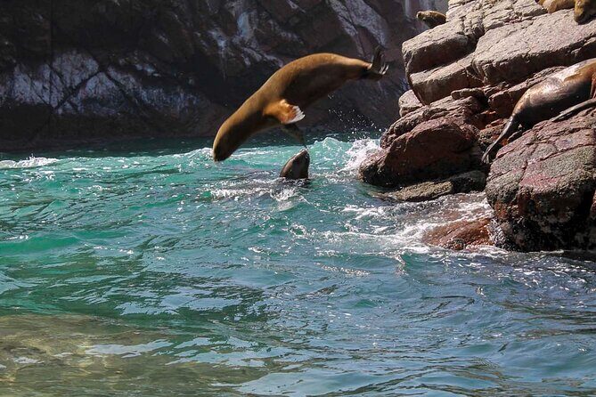 Ballestas Islands & National Reserve of Paracas from Ica - Language, heat, and group pace: the trade-offs you should plan for