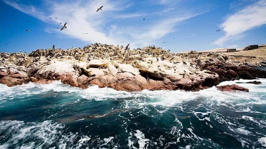 Ballestas Islands & Paracas National Reserve from Paracas - What to Bring (And Why It Matters Here)