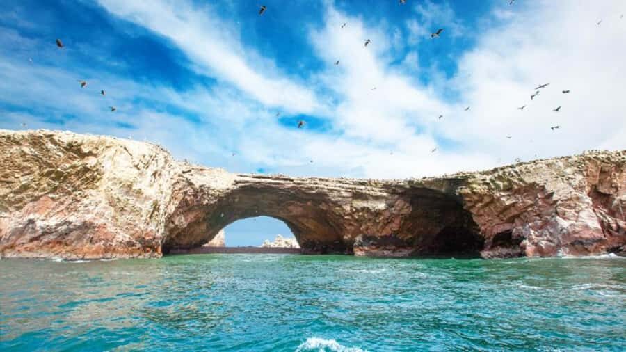Ballestas Islands & Paracas National Reserve from Paracas - Should You Book This Ballestas and Paracas Day Trip?