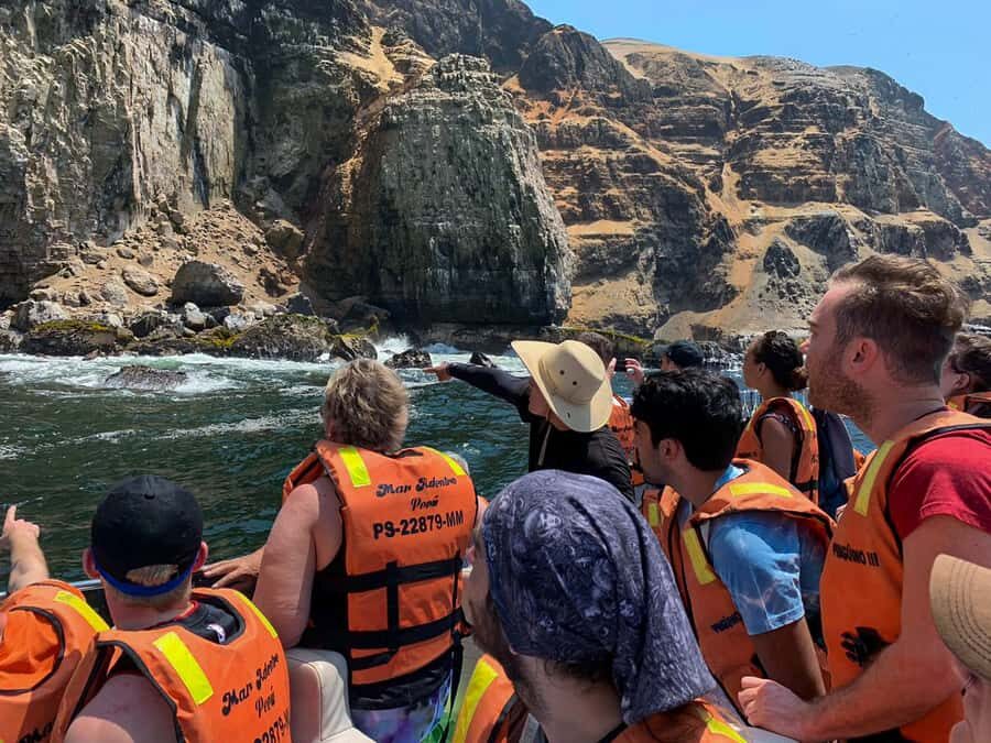 Callao: Swimming with Sea Lions Palomino Islands Boat Tour - Key things to know before you go
