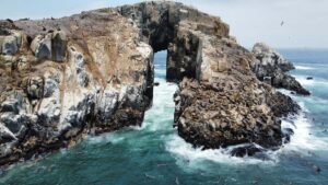 Callao: Swimming with Sea Lions Palomino Islands Boat Tour - Palomino Island swim: neoprene suits, life vests, and sea lion etiquette