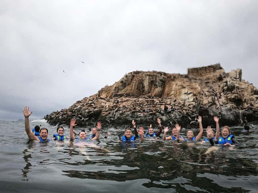 Callao: Swimming with Sea Lions Palomino Islands Boat Tour - Wildlife on the way: penguins, pelicans, and seabird spotting