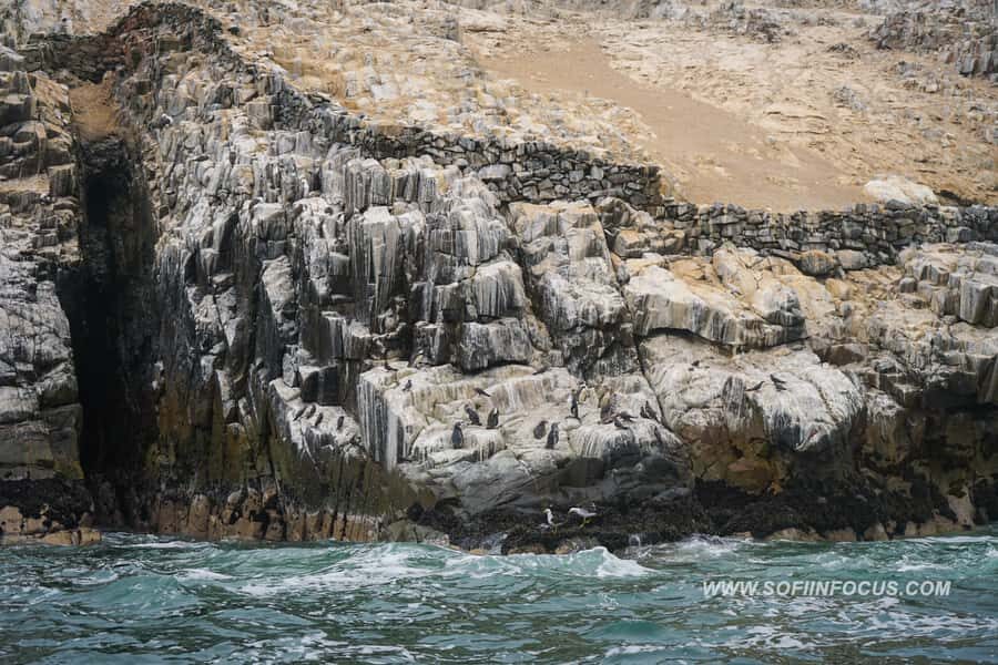 Callao: Swimming with Sea Lions Palomino Islands Boat Tour - Returning through cliffs and islets, plus the snack stop