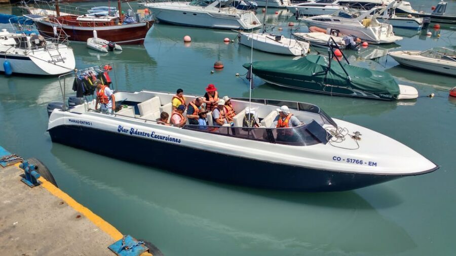 Callao: Swimming with Sea Lions Palomino Islands Boat Tour - Price and value: what $76 really buys you