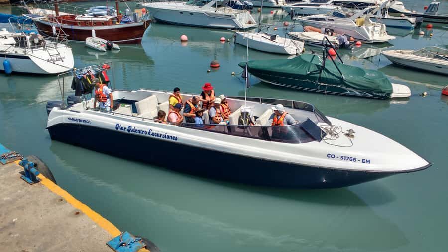 Callao: Swimming with Sea Lions Palomino Islands Boat Tour - Who this tour suits best in Lima’s Callao region