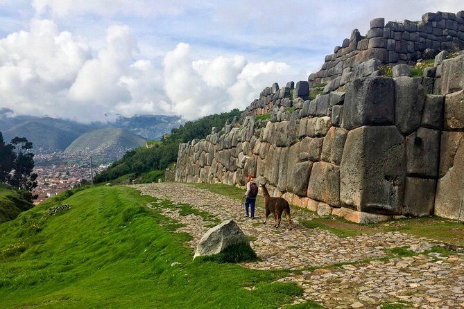 City Tour in Cusco & visit Museum South American Camelid Private. - Guides, Pickup, Pace, and Practical Tips for a Smooth Day