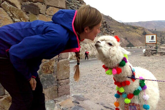 Colca Canyon Plus - Why this 2-day Colca Canyon Plus works for first-timers