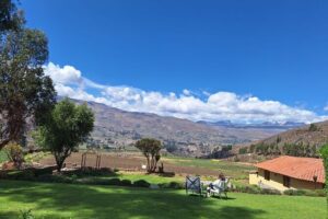 Colca Canyon Plus - The Andean plant and alpaca-fiber stop in a local restaurant