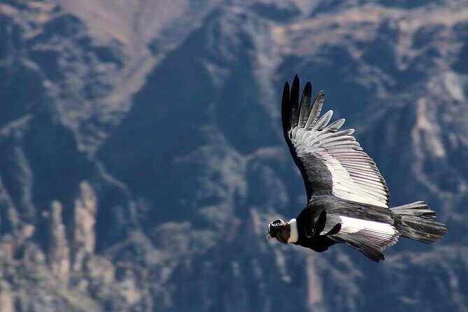 Colca Canyon Plus - Coporaque at 3,651m: terraces, La Casa de Mamayacchi, and optional walking