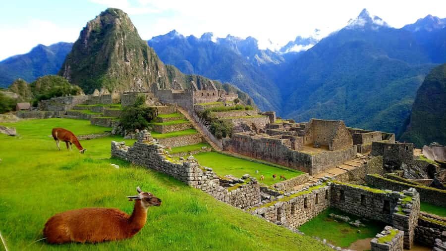 Cusco: 4-Day Inca Trail to Machu Picchu with Accommodation - Day 2: Coffee roasting on Qhapaq Ñan, bird-and-plantation views, then Cocalmayo