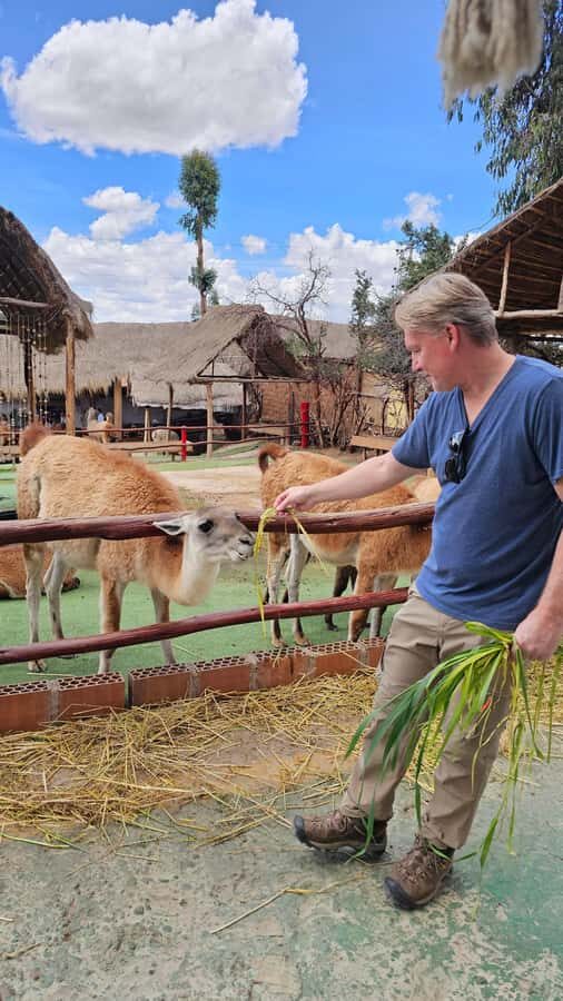 Cusco: Alpaca and Llama Farm Tour w/ Transfer & Weaving Demo - Key points before you go