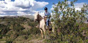 Cusco: Half-Day Horseback Riding at Devil's Balcony - The Ride Feels Manageable Because They Teach You Real Basics