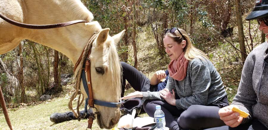 Cusco: Half-Day Horseback Riding at Devil's Balcony - Panoramic Cusco Views: Farms, Animals, and a Quiet Escape