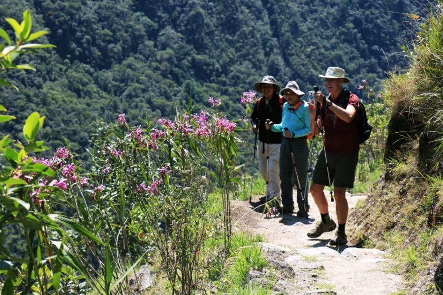 Cusco: Machu Picchu 2-Day Inca Trail with Panoramic Train - Aguas Calientes night: where you recover before the sunrise tour