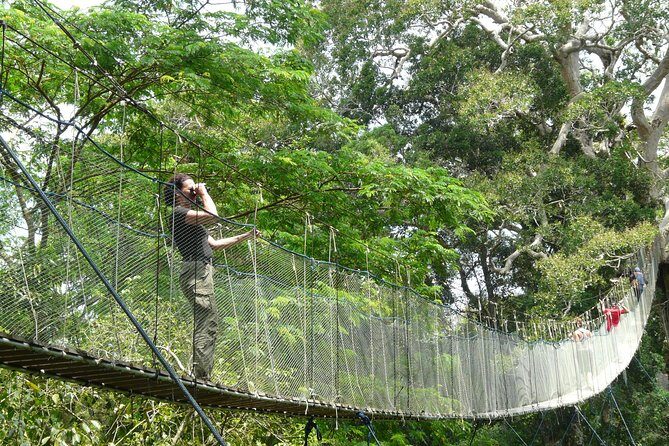 Eco Jungle 3 Days - 2 Nights - Sandoval Lake on a rowing boat: birds, monkeys, piranhas, and the otter odds