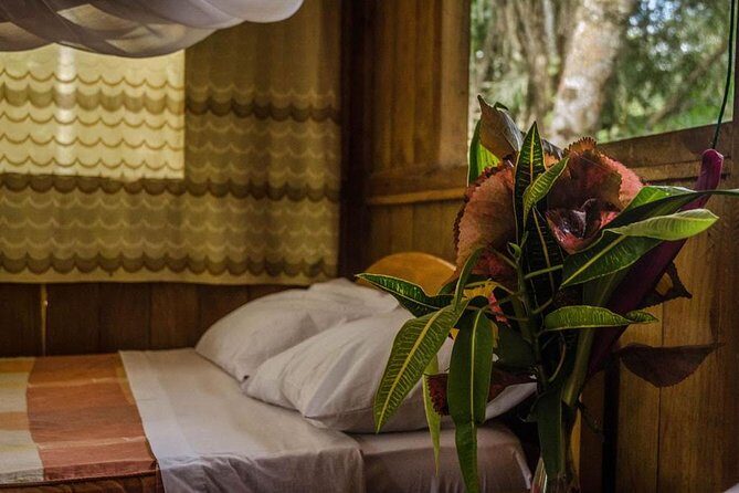 Eco Jungle 3 Days - 2 Nights - Tambopata National Reserve walk + Monkey Island near the Madre de Dios