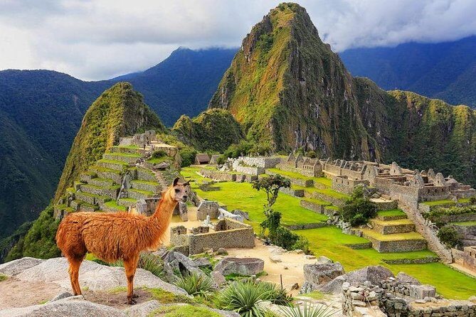 Excursion to MachuPicchu from Cusco with lunch | Private Service| - Key Points I’d Care About