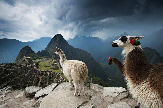 Excursion to MachuPicchu from Cusco with lunch | Private Service| - The 3–4 a.m. start that shapes the whole day