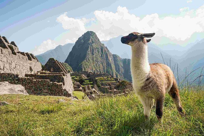 Excursion to MachuPicchu from Cusco with lunch | Private Service| - Ascent to Machu Picchu: about 30 minutes of purposeful bus travel
